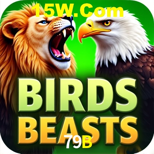 Interface Premium 79B